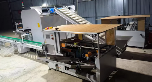 南宁地区公司倒闭处理果蔬全自动称重打包流水线