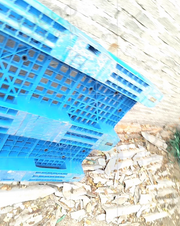 襄阳地区处理1批托盘