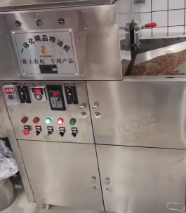 西安地区店铺处理商用全自动榨油机