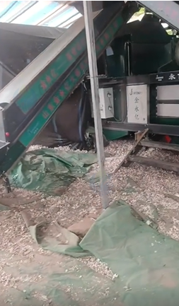 济宁地区处理大型蒜种分瓣分选机 大蒜正芽播种机