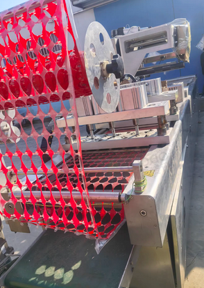 潍坊地区处理鹌鹑蛋拉伸膜真空包装机