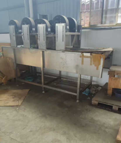 红河地区处理水果清洗机、风干机