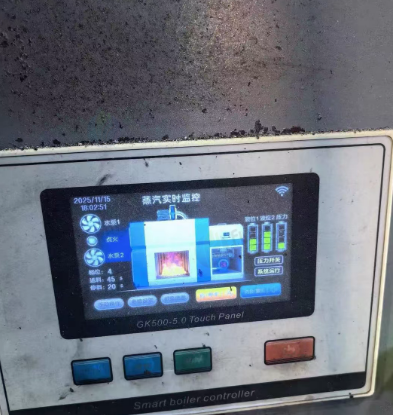 河源地区自用处理2台锅炉