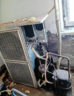 哈尔滨地区处理五套冷库用冷风机十匹的