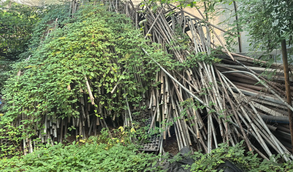 百色地区个人处理1批蔬菜大棚热镀管材