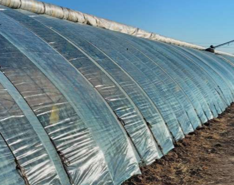 通辽地区处理多套闲置大棚