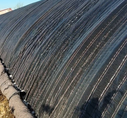 通辽地区处理多套闲置大棚