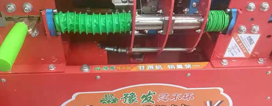 肇庆地区自用处理甘蔗削皮机