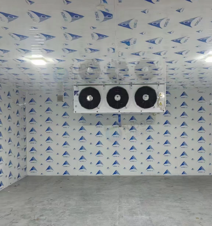 广州地区自用处理冷冻库