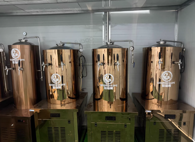 万宁地区工厂处理精酿啤酒设备一套