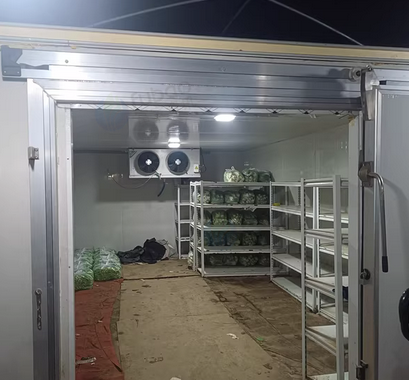 上海地区处理冷库