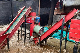 焦作地区处理中型大蒜分掰机