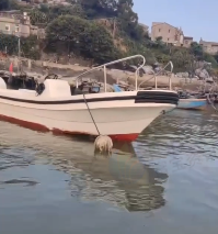 福州地区处理双模船壳5.88米