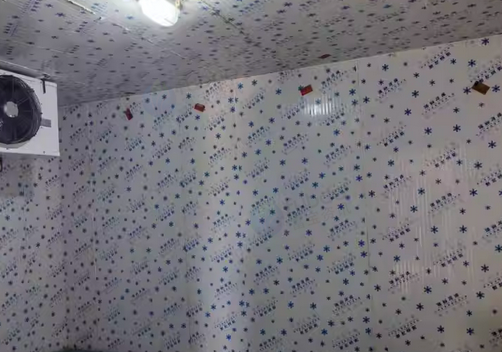 玉林地区处理15平方冻库