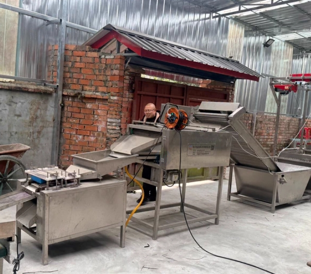 成都地区处理鹌鹑蛋剥壳全自动流水处理设备