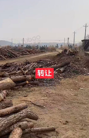 黄冈地区处理木片厂整厂设备