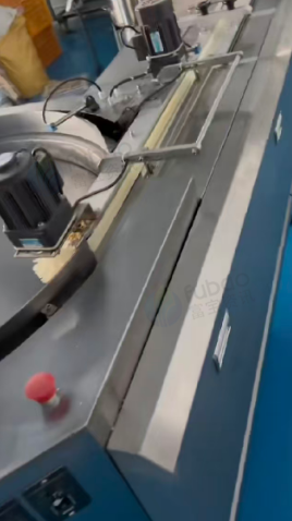 漳州地区处理24年君耀九伺服斜盘理料包装机