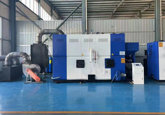 厦门地区公司处理2吨生物质颗粒炉LSW2-0.09/2-QN