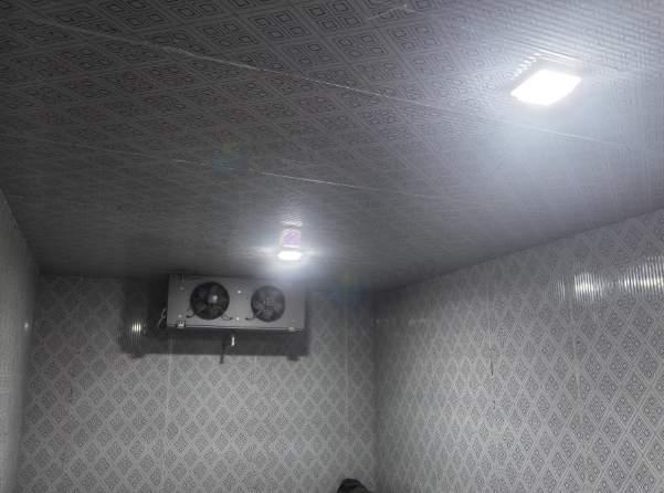 淮安地区处理7.2*4.2*3m格力冷库