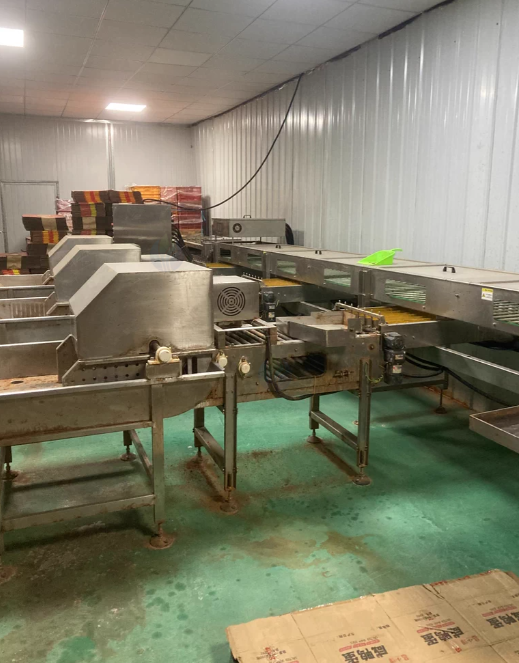 金华地区处理蛋品生产线