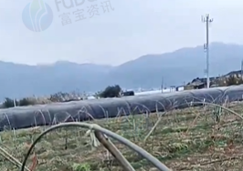 红河地区处理部分棚杆