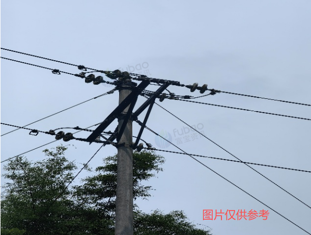 12月24日重庆长寿生命科技与新材料公司詹长线和下风线输电线路资产一批转让公告