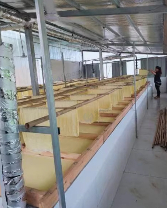 恩施地区处理腐竹生产设备