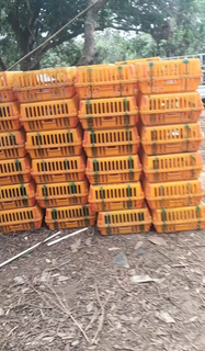 北海地区处理100个中转鸡笼