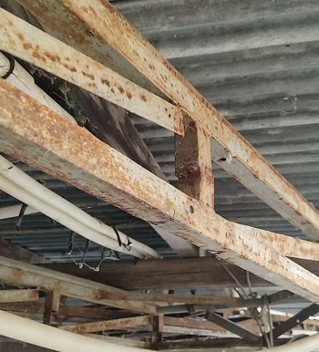 秦皇岛地区处理收玉米的提升机