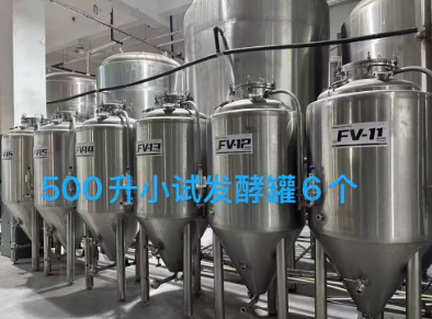 南昌地区处理精酿啤酒全套设备