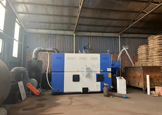 厦门地区公司处理2吨生物质颗粒炉LSW2-0.09/2-QN