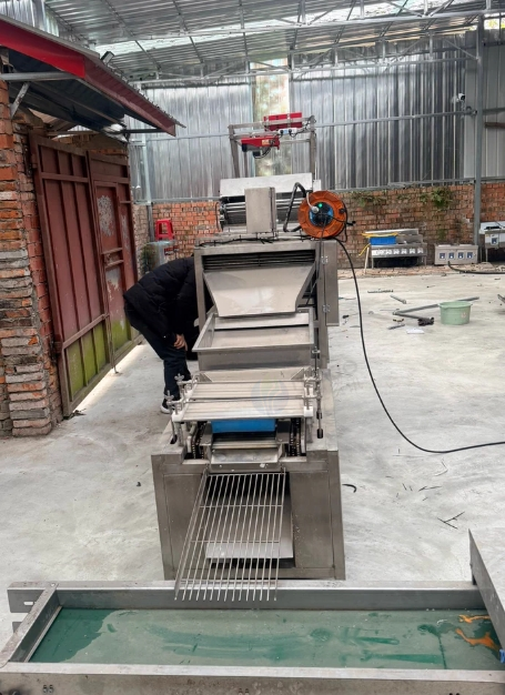 成都地区处理鹌鹑蛋剥壳全自动流水处理设备