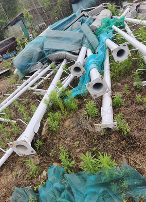 金华地区处理1批路灯杆