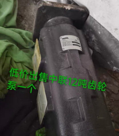 马鞍山地区处理中联12吨齿轮泵