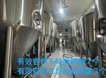 南昌地区处理精酿啤酒全套设备