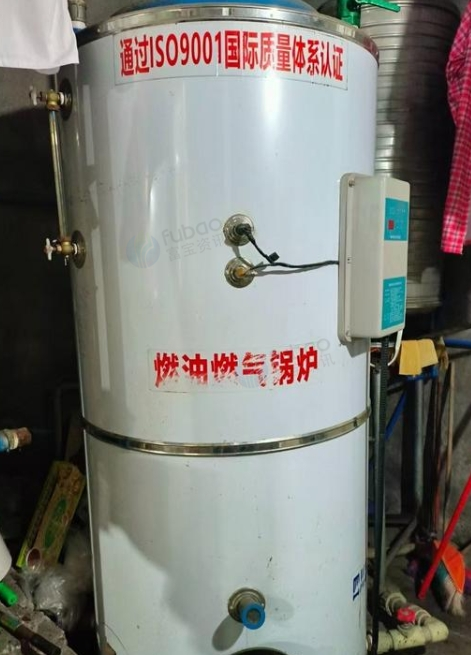 乐山地区处理1吨生物燃油锅炉