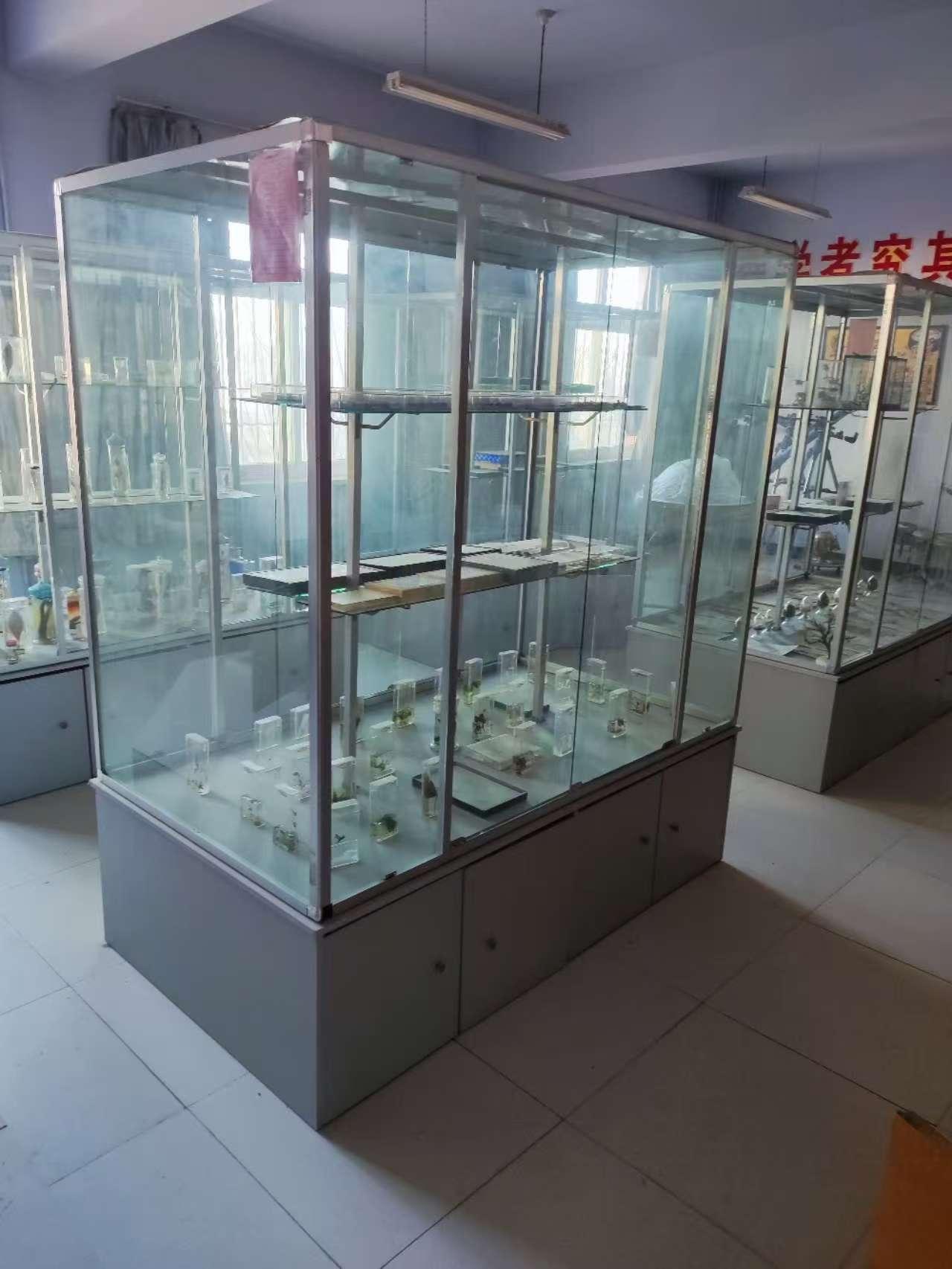 1月12日中卫资料柜、报架、仪器室用梯、演示台水槽等一批报废资产处置项目转让公告