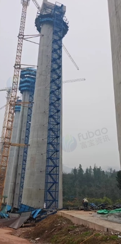 南充地区处理重型梯笼