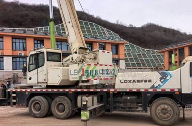 焦作地区处理雷萨25Q5吊车