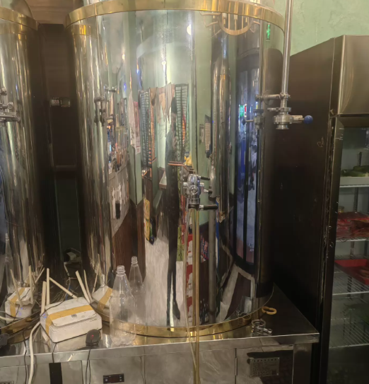 通化地区工厂处理一拖三精酿啤酒设备