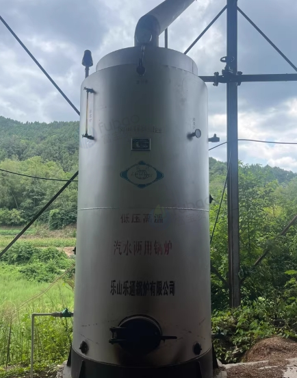绵阳地区个人处理1吨低压高温生物质锅炉