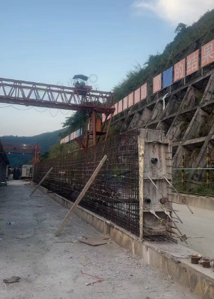 红河地区处理路港牌龙门吊