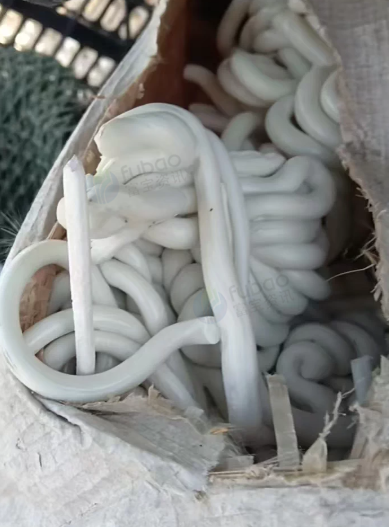 南通地区处理聚乙烯机头料一批