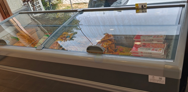 宣城地区处理冷冻展示柜