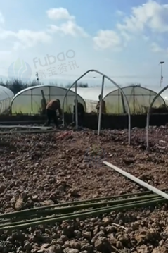 曲靖地区处理一批棚杆