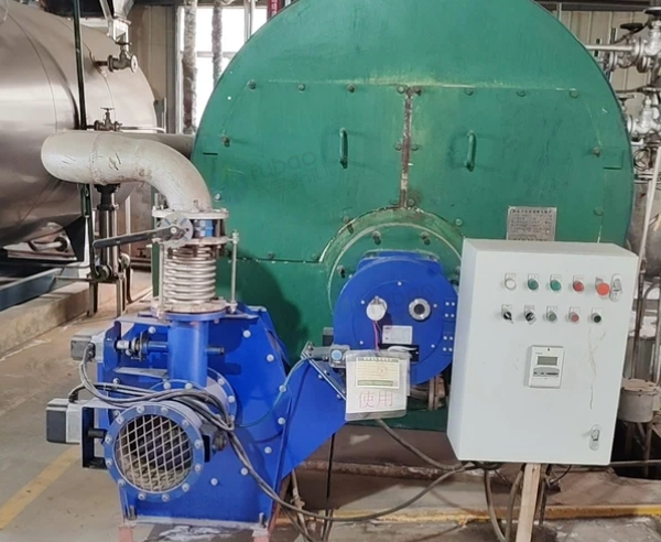 成都地区处理卧式内燃燃油燃气锅炉