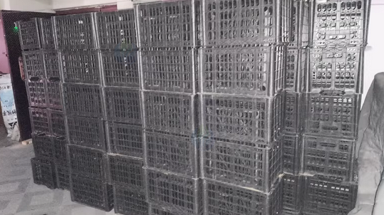 北京地区处理水果箱一批