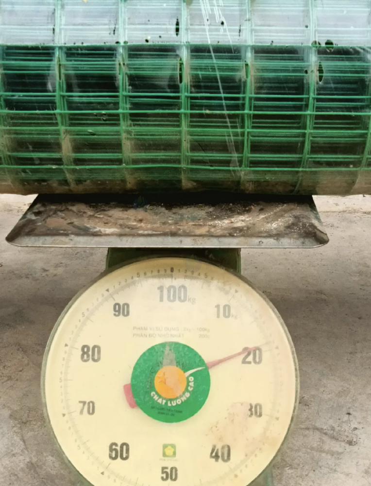 红河地区处理一批围地网