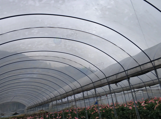 百色地区处理1批镀锌钢管大棚