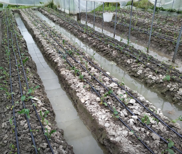 百色地区处理1批镀锌钢管大棚